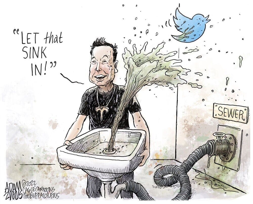 Musk owns Twitter